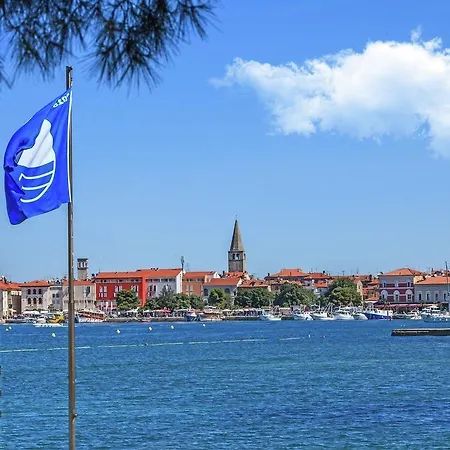 Daire Lovely Apartment In Porec Near Beach *